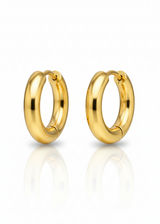 Malena Gold Earrings Small